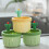 Reusable Sink Strainer Basket Automatic Drain Function Shape Sink Filter Basket Kitchen Accessories Green 5