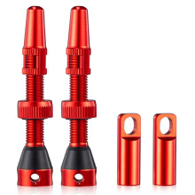 Corrosionresistant tubeless valves, shaft valves, cores, and toolremoval valves for commuters and adventure cyclists.
