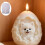Dog Embossed Eggs Shape Silicone Molds for Resin Casting Candle 5