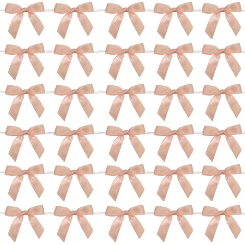 Ensemble de rubans DIY 50 pièces, pour emballage-Champagne
