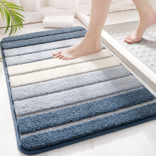 Tapis de bain lavable en machine, en microfibre ultra douce antidérapante, à séchage rapide et absorbant l'eau, luxueux tapis shaggy (1 pièce)