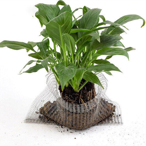 5Pcs Root Guard Baskets Stainless Steel Wire Mesh Cage for-E 1