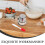 1 Set Haushaltsölwischer Multifunktionaler Pfannkuchenölmopp 9