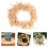 Zandsteen Succulentenvulstenen Decoratieve Grindstenen 3