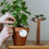 2 Mini Modell Realistisches Pflanzenmodell 6