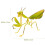 3Stk Eisen Gartendeko Gottesanbeterin Wandschmuck 2