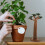 2 Stuks Boommodel Mini Plantenmodel Realistisch Decor 6