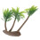 Palm Baum Für Inneneinrichtung 1 7