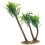 Palm Baum Für Inneneinrichtung 1 10