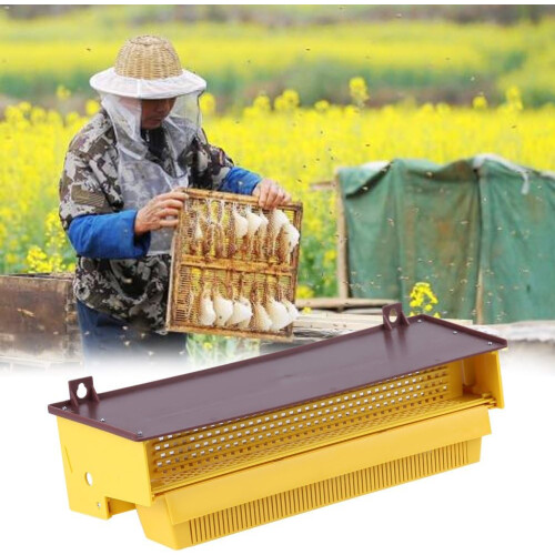 Yellow Plastic Pollen Trap with Vented Container for Beehive 1