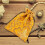 Funda Brocada De Seda Para Joyas Con Cordón Resistente 4