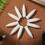 10 pièces embouts fine pour stylos pinceaux réutilisables 5