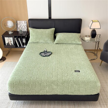 Flannel Velvet Bed Sheet Deep Pocket Mattress Protector 618 Inch Green Queen For Kids Teens College Dorm