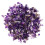 200G Cascalho Irregular Para 7