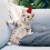 De Natal Mini Chapéu Ajustável E Lenço Para Pets Pequenos 11