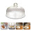 Set Copertura In Per Torta E Piatto 11
