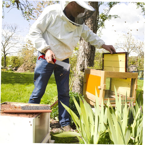 1 Set Bee Hive Tool Includes Hook Sturdy Beekeeping for Hive Maintenance Household Cleaning Durable Construction 2