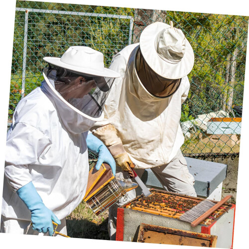 1 Set Bee Hive Tool Includes Hook Sturdy Beekeeping for Hive Maintenance Household Cleaning Durable Construction 1