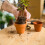 4 In Bamboo Per Giardinaggio Bonsai Vasi Mini 4