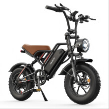 VARUN Plorer 48V13AH Fat Tire Off-Road Ebike,black