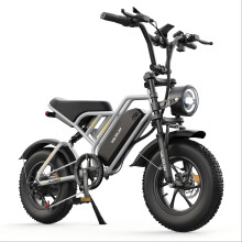 VARUN Plorer 48V13AH FatTire Off-Road Ebike,silver