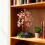 Crystal Money Tree Statue with Base-Colorful crystal 6