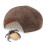 Reptile Hideout, per Lucertole, , Granchi e Tartarughe 6