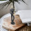 Creative Band Model Decor Strumento Musicale Articolo Per Casa 11