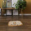6 pcs guinea pig mats for hamster cages, comfortable liners 10