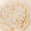 3Pcs Emulação Planta Flor Decoração Casa 11