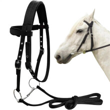 Horse Bridle Headband Adjustable Lead Rope 3 Buckles Equestrian Training Halters Throat Chin Size Compatibility