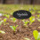 10 Unidades De Pastor Para Plantas Ferro Resistente 7