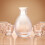 garrafa de para saquê , e decanter 11