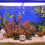 1 decoração resina com concha mar e 5