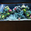 1 decoração resina com concha mar e 9