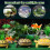 plataforma descanso tartarugas com grama artificial para 8