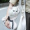 Sac de transport interactif pour animaux de compagnie, sac à 7
