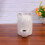 ciotola 100 ml con orecchie gatto per criceti conigli bianco 4
