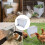 Solution d'alimentation accessible pour les volailles mettant en 2