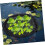 Floating Pond Planter Ring with Netting, Fish Barrier, Algae Reduction for Water Gardens 4