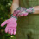 Westland Kent & Stowe Triple Pack Botanical Weeding Gloves Medium 7