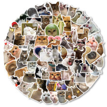 100 Pcs Cat Expression Stickers, Waterproof & Fade-Resistant Cat Decals for Cat Lovers Water Bottle Phone Snowboard Laptop Luggage Scrapbook Kids Teen