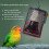 Protective Guard for Reptiles Heat Lamp with Dome Easyly-timer 5