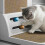 Groot formaat afneembare kattenkrabplank met dikke-Grijs 3