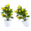 2Stk Simulierter Mini Bonsai Kunststoff 6