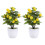 2Stk Simulierter Mini Bonsai Kunststoff 9