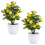 2Stk Simulierter Mini Bonsai Kunststoff 7
