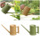 Watering Can 1.6L Plastic Watering Can with Comfortable-Green 3