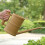 Watering Can 1.6L Plastic Watering Can with Comfortable-Green 7