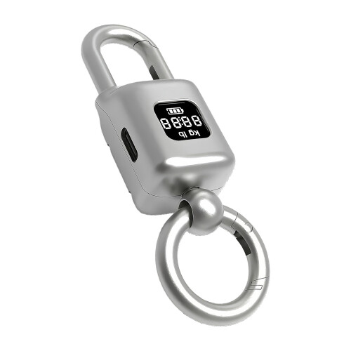 Porte-clés de précision, balance de cuisine, capacité-Perle Luo